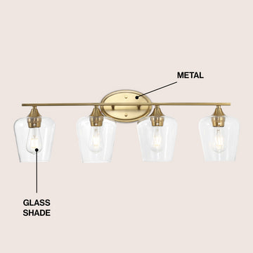 Jayne Iron/Glass Cottage Rustic LED Vanity Light